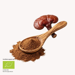 Eko Reishi Inner Sanctum – 100 % organski prah gobe reishi, 200 g